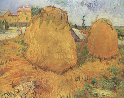 Vincent Van Gogh Haystacks in Provence (nn04) Spain oil painting art